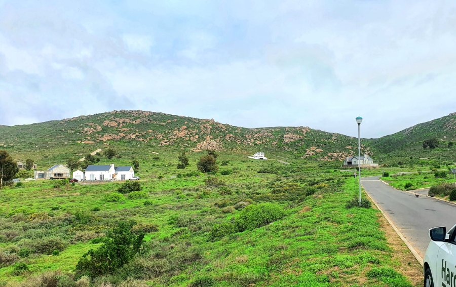 0 Bedroom Property for Sale in Steenbergs Cove Western Cape